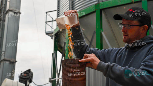 Farmer Testing Corn Moisture On-farm Storage 25619