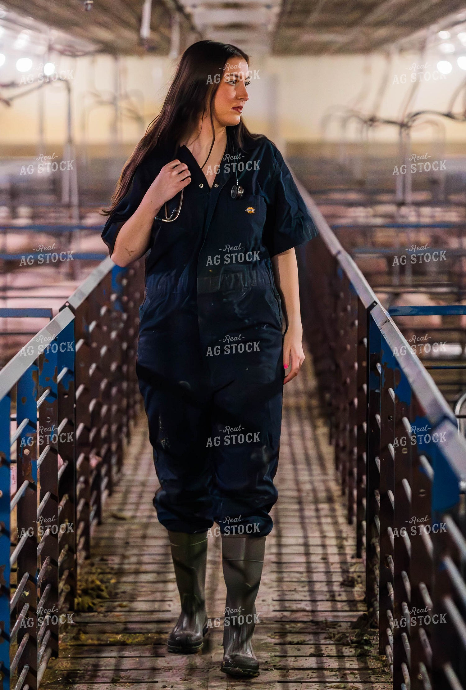 Female Veterinarian in Pig Barn 289103