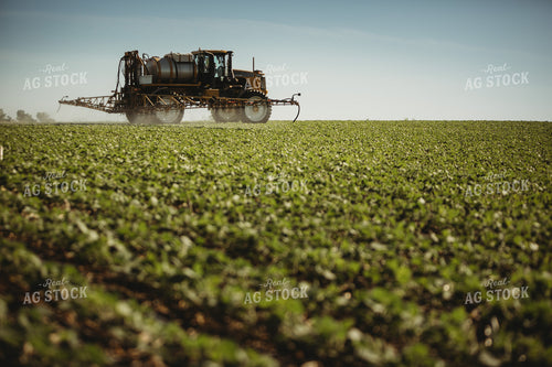 Spraying Soybeans 4363