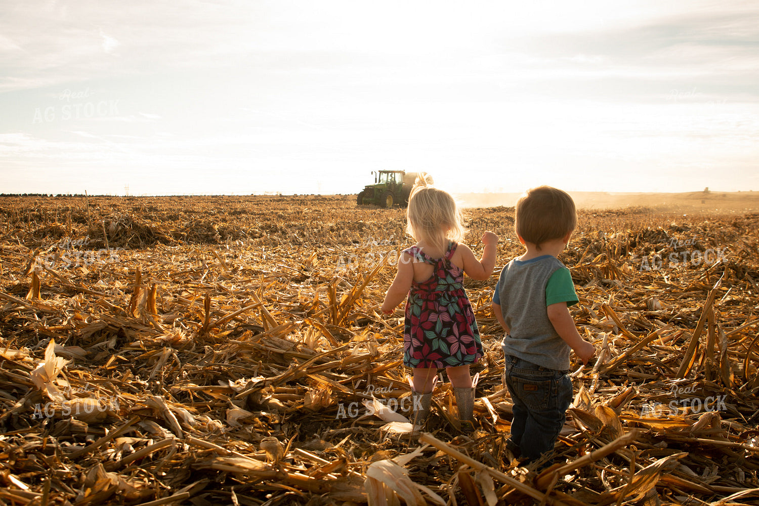 Farm Kids Watch Baling Corn Stalks 223008