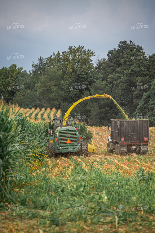 Cutting Corn Silage 270614