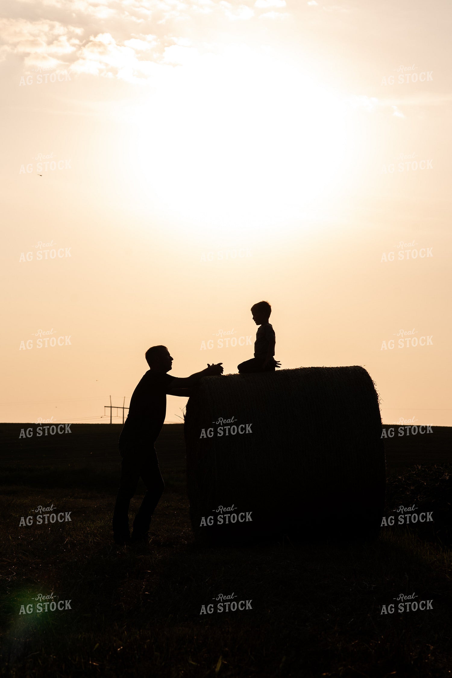Farmer and Son Play on Hay Bales 76590