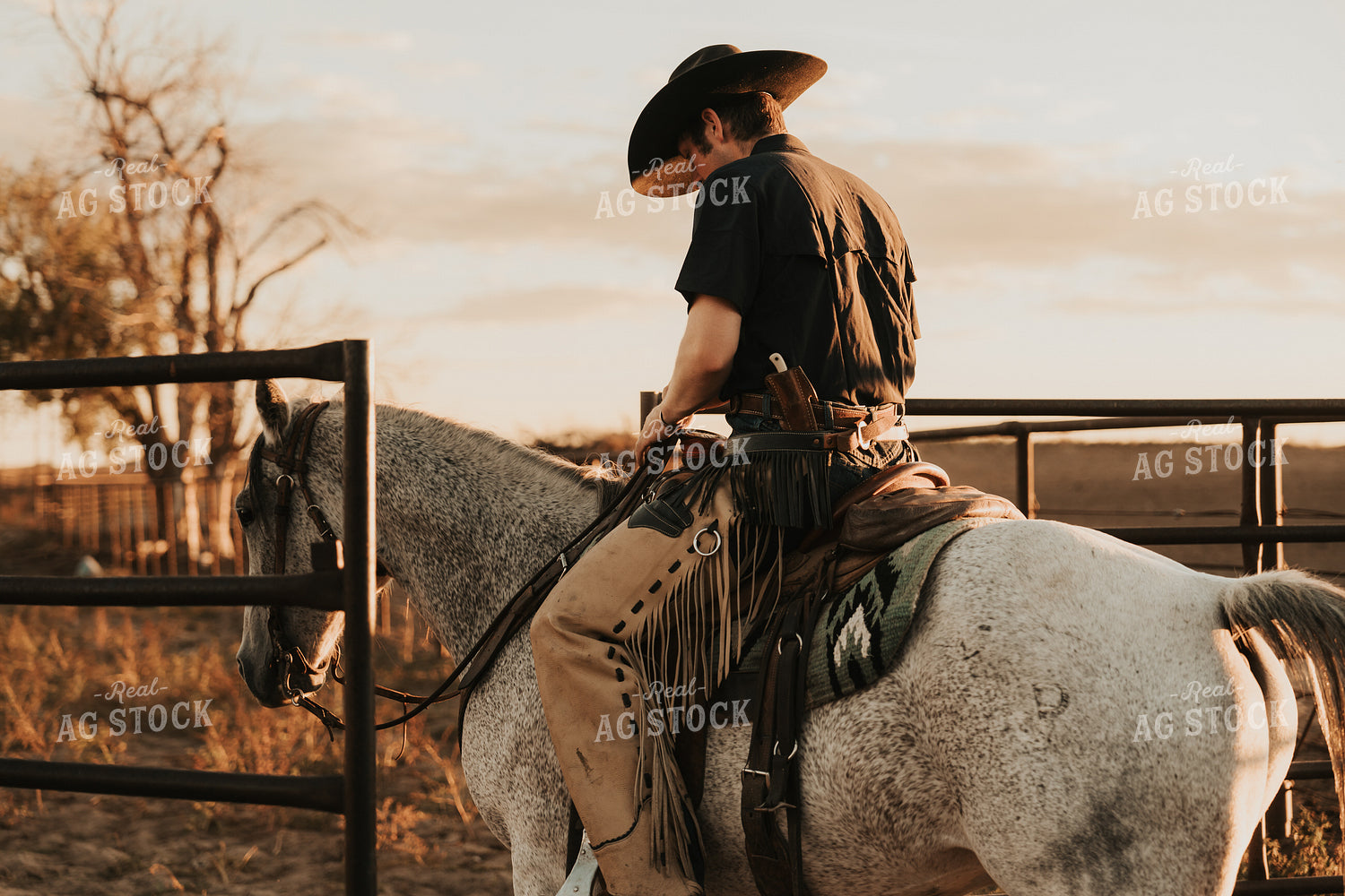 Cowboy on Horseback 61199