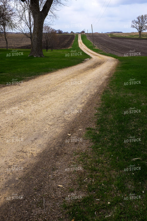 Farm Driveway 154066