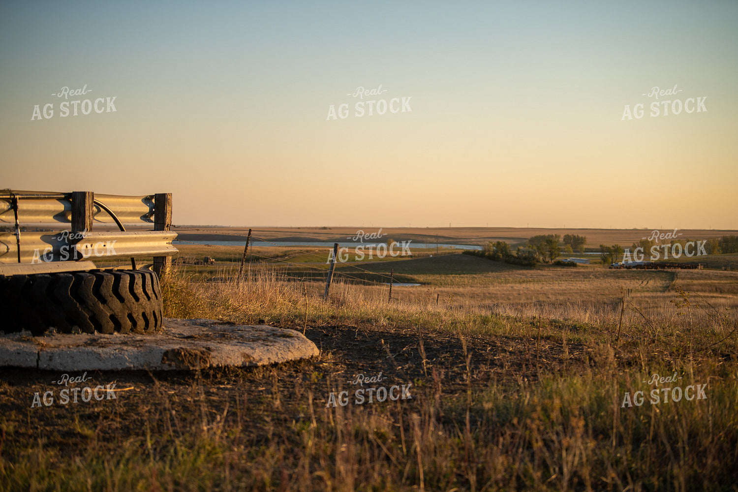Scenic Pasture 212131