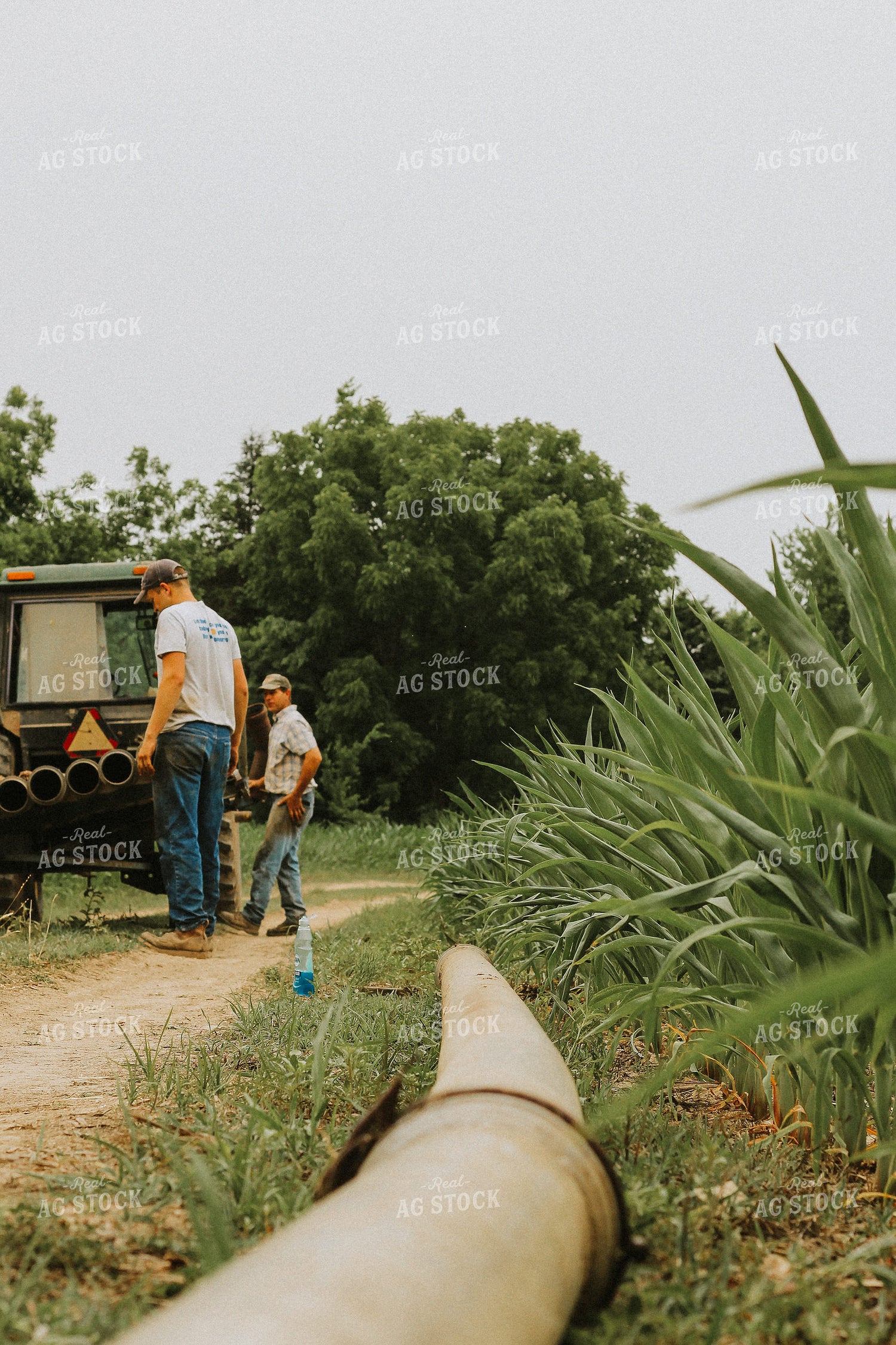 Farmers Lining Up Irrigator Pipes 101034