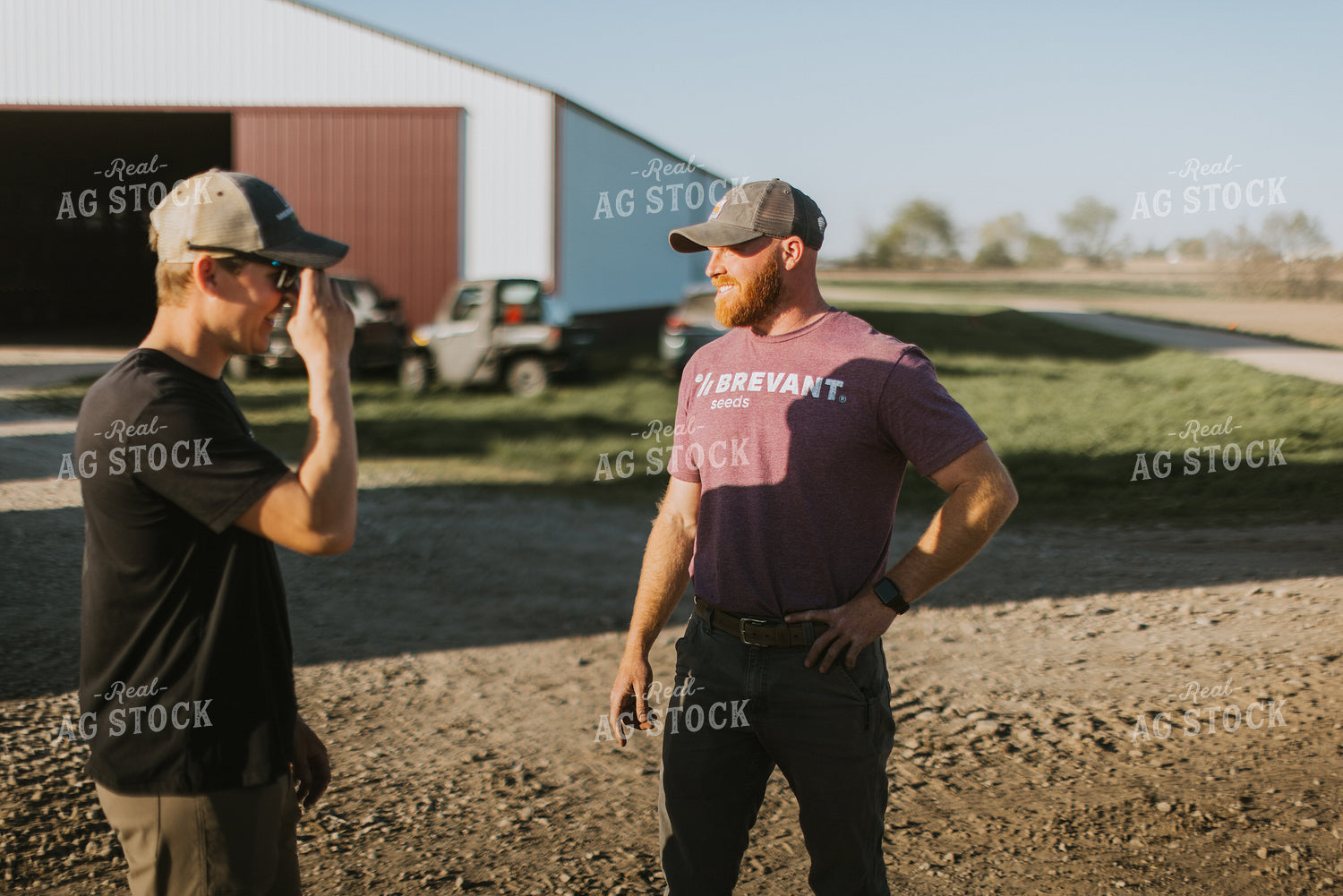 Farmers Talk in Farmyard 7651