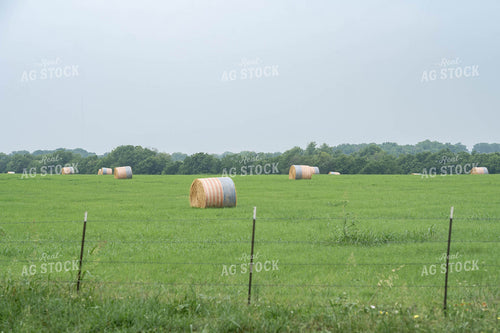 Hay Bales 91056