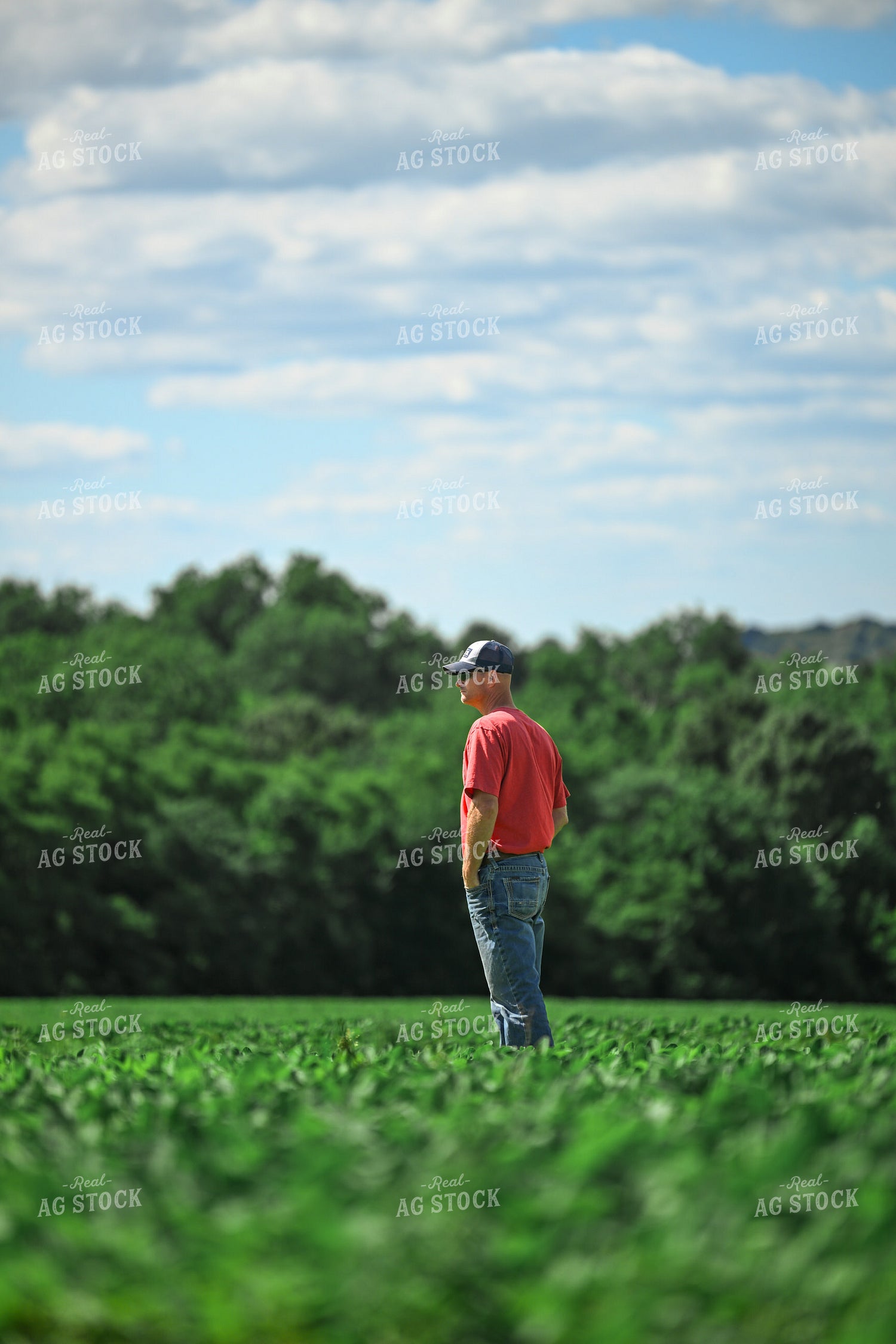 Farmer Scouting Soybean Field 191320