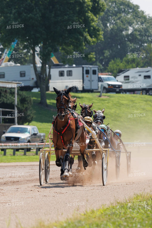 Harness Racing 52930