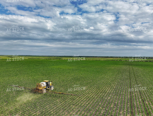 Spraying Corn 141304