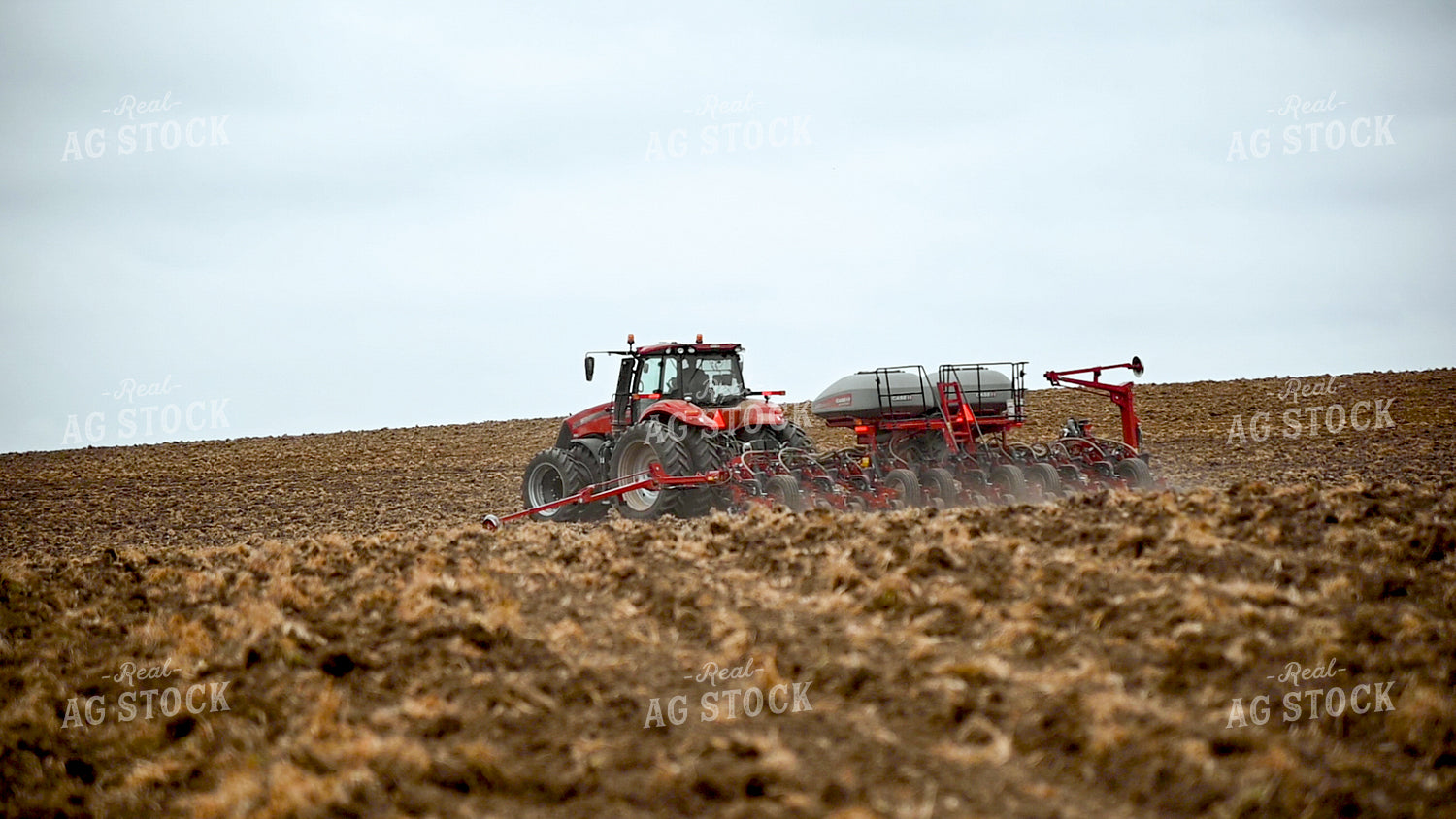 Planting into Tilled Cover Crops 25153