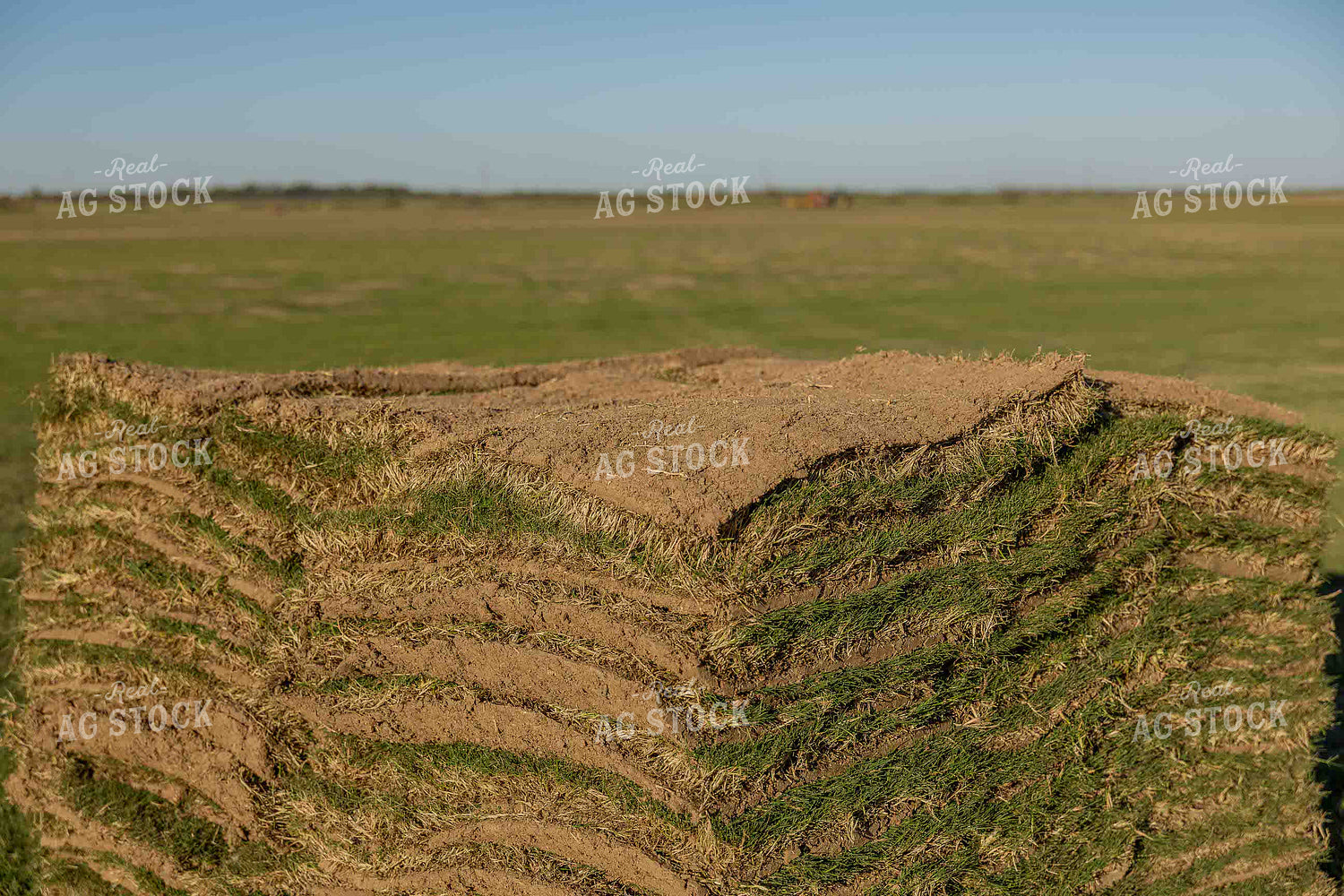 Pallet of Sod 291017