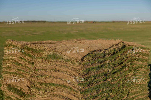 Pallet of Sod 291017
