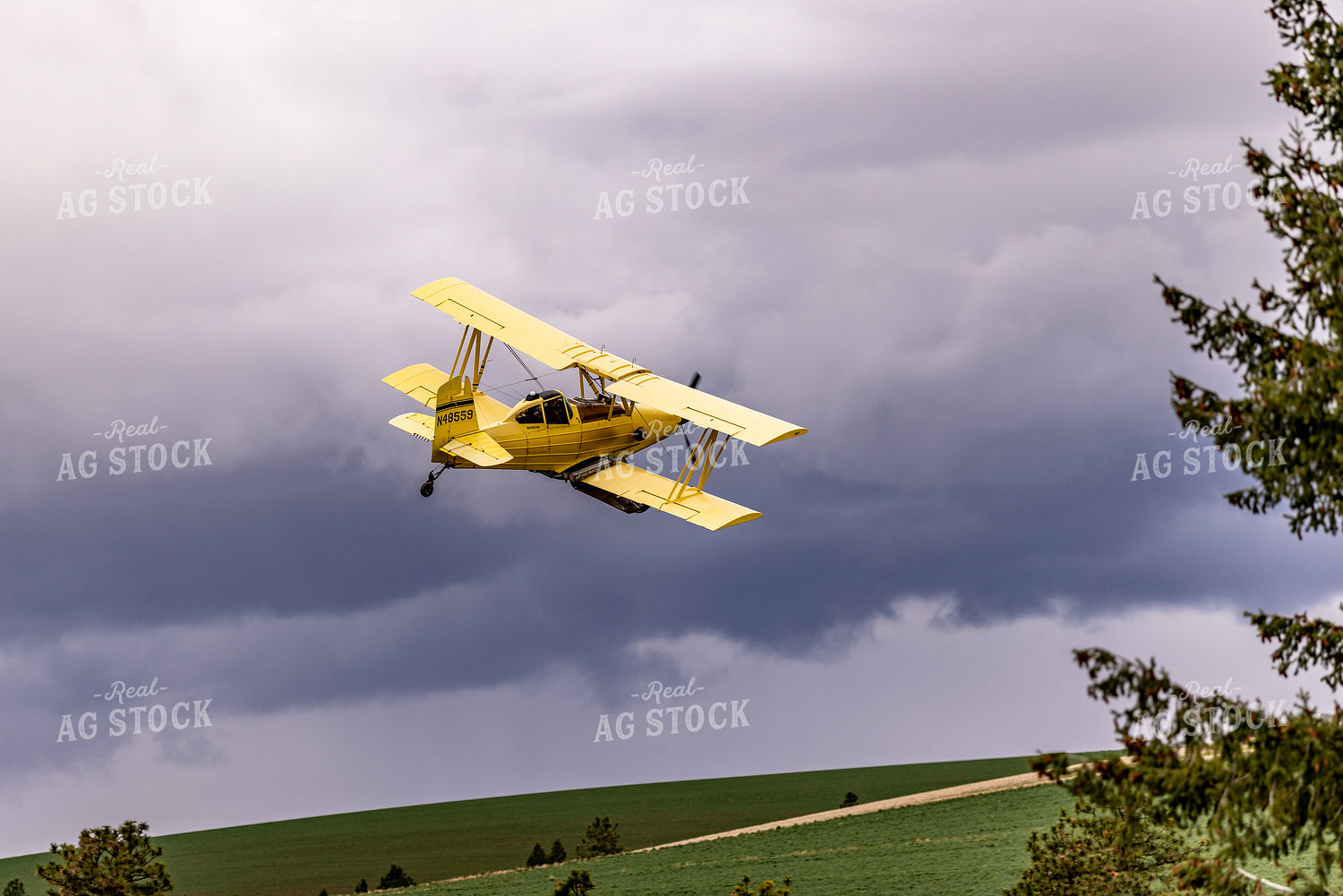 Crop Duster 188142