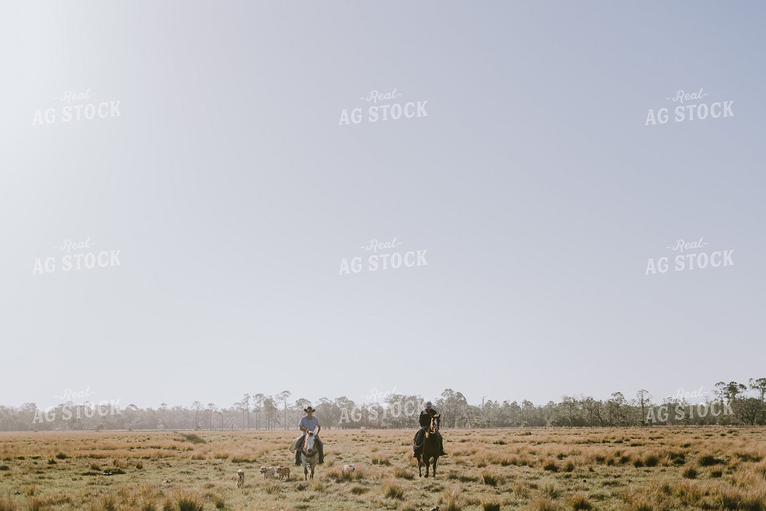 Ranchers in Pasture 7304