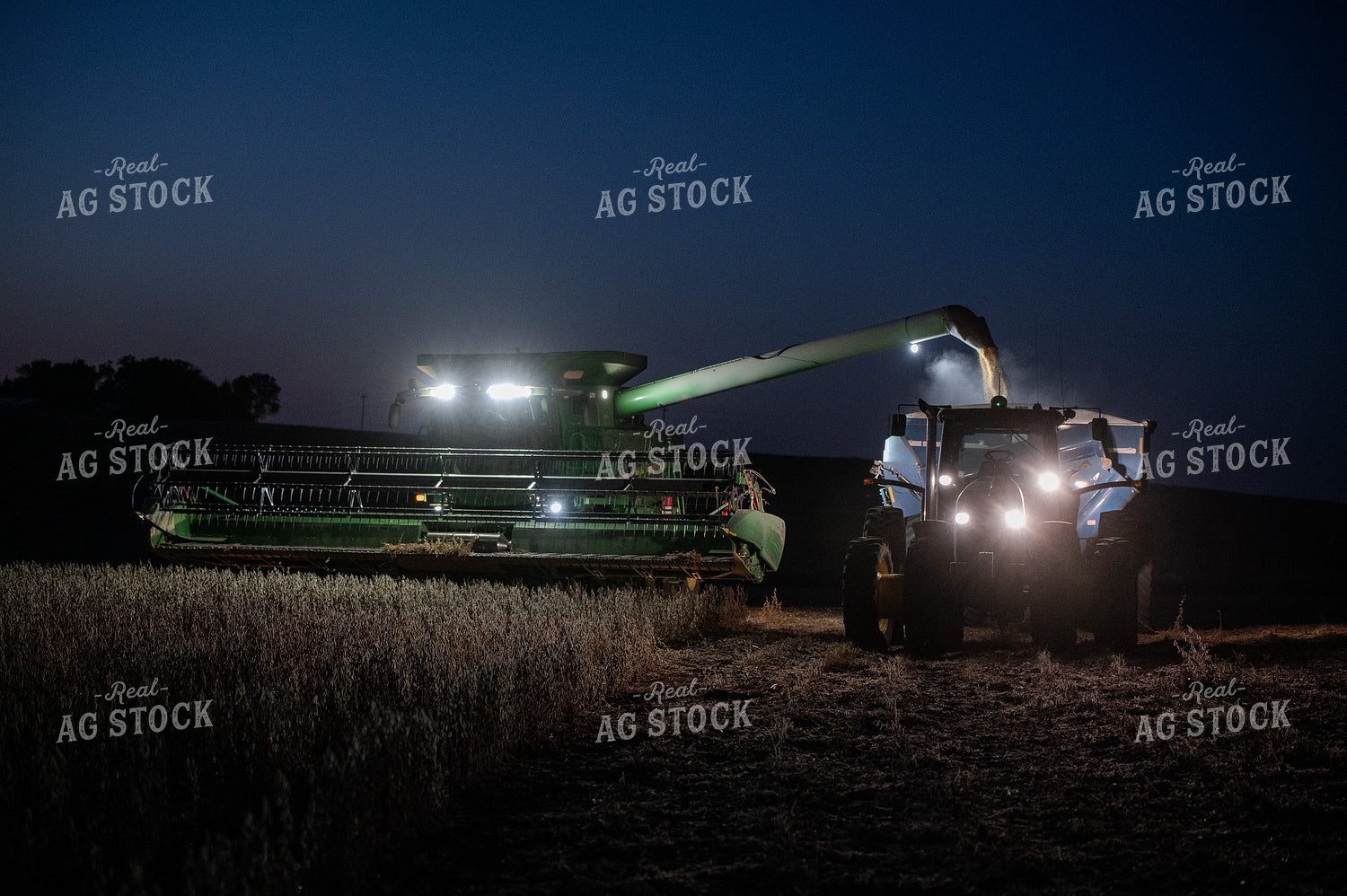 Soybean Harvest 236029