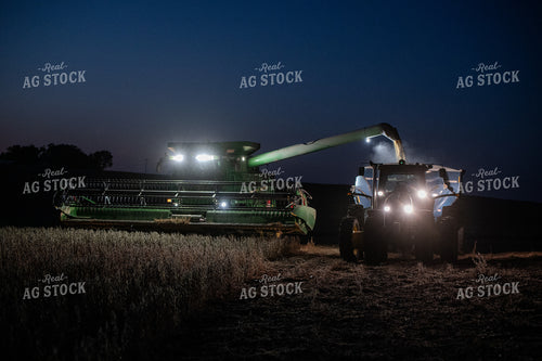 Soybean Harvest 236029