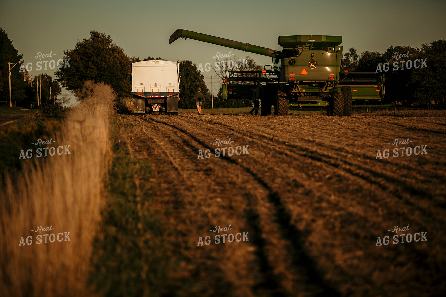 Harvest 2572
