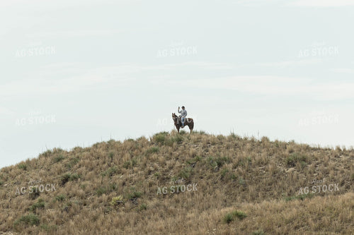 Rancher on Horse at Top of Hill 114052