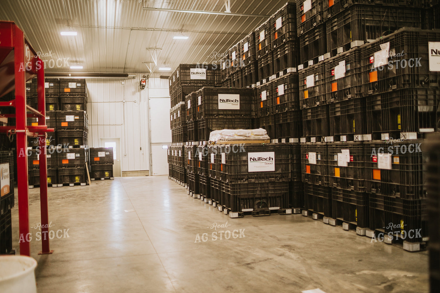 Bulk Bins in Seed Warehouse 5338