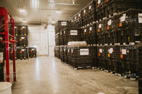 Bulk Bins in Seed Warehouse 5338