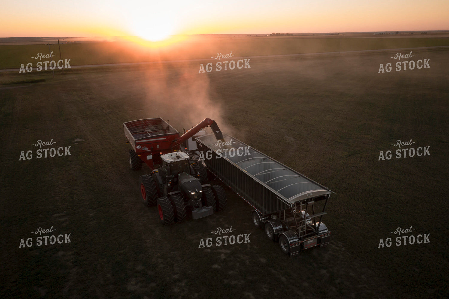 Unloading Harvested Wheat 135047