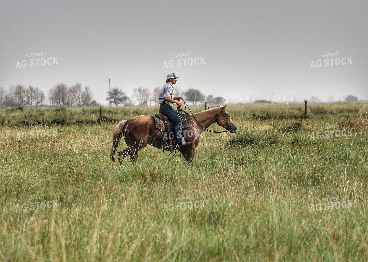 Rancher on Horseback 210007