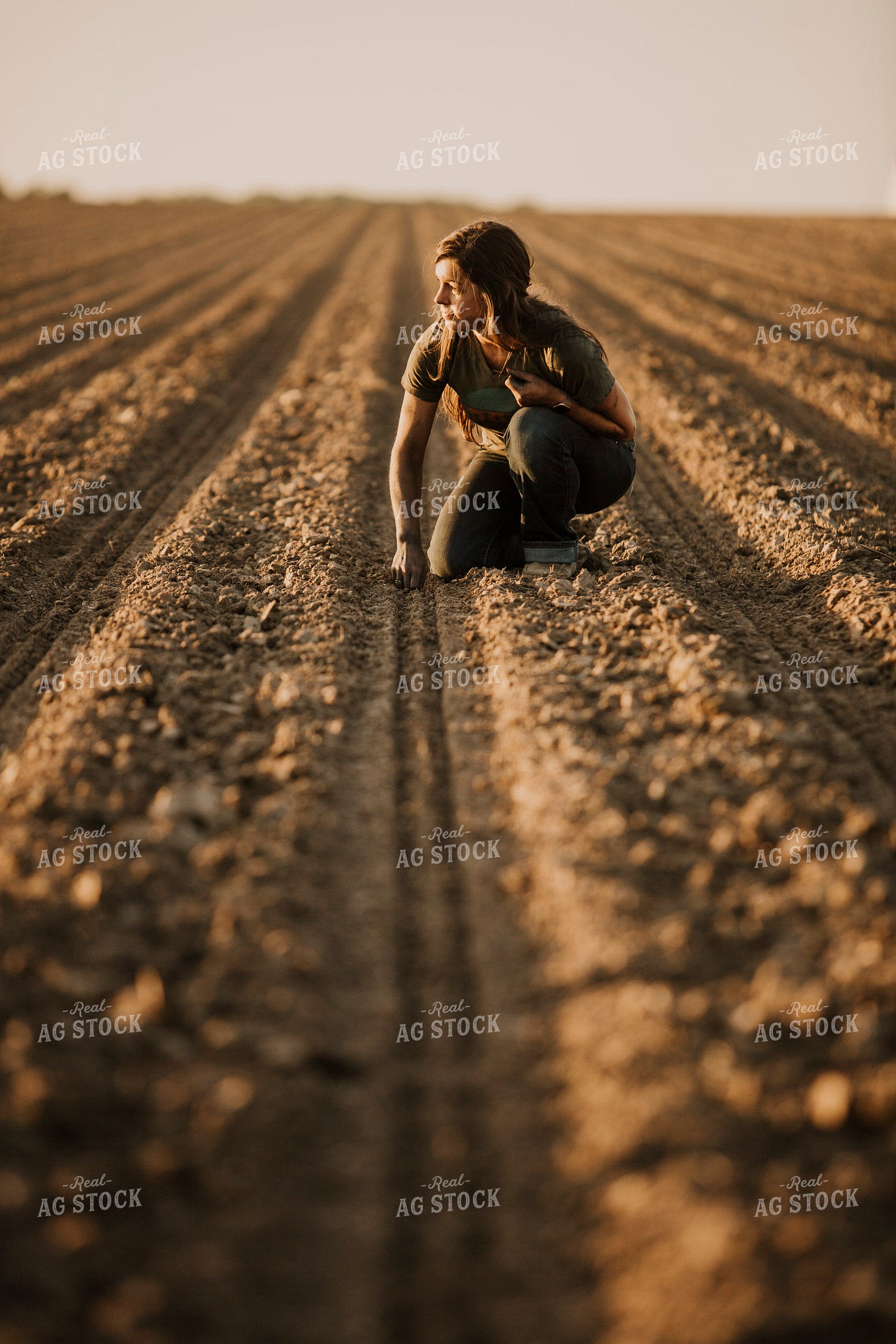 Planting 2836
