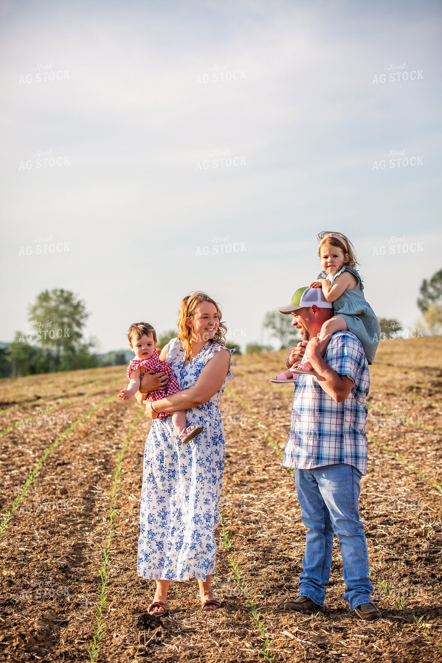 Farm Family Checking Corn 270018