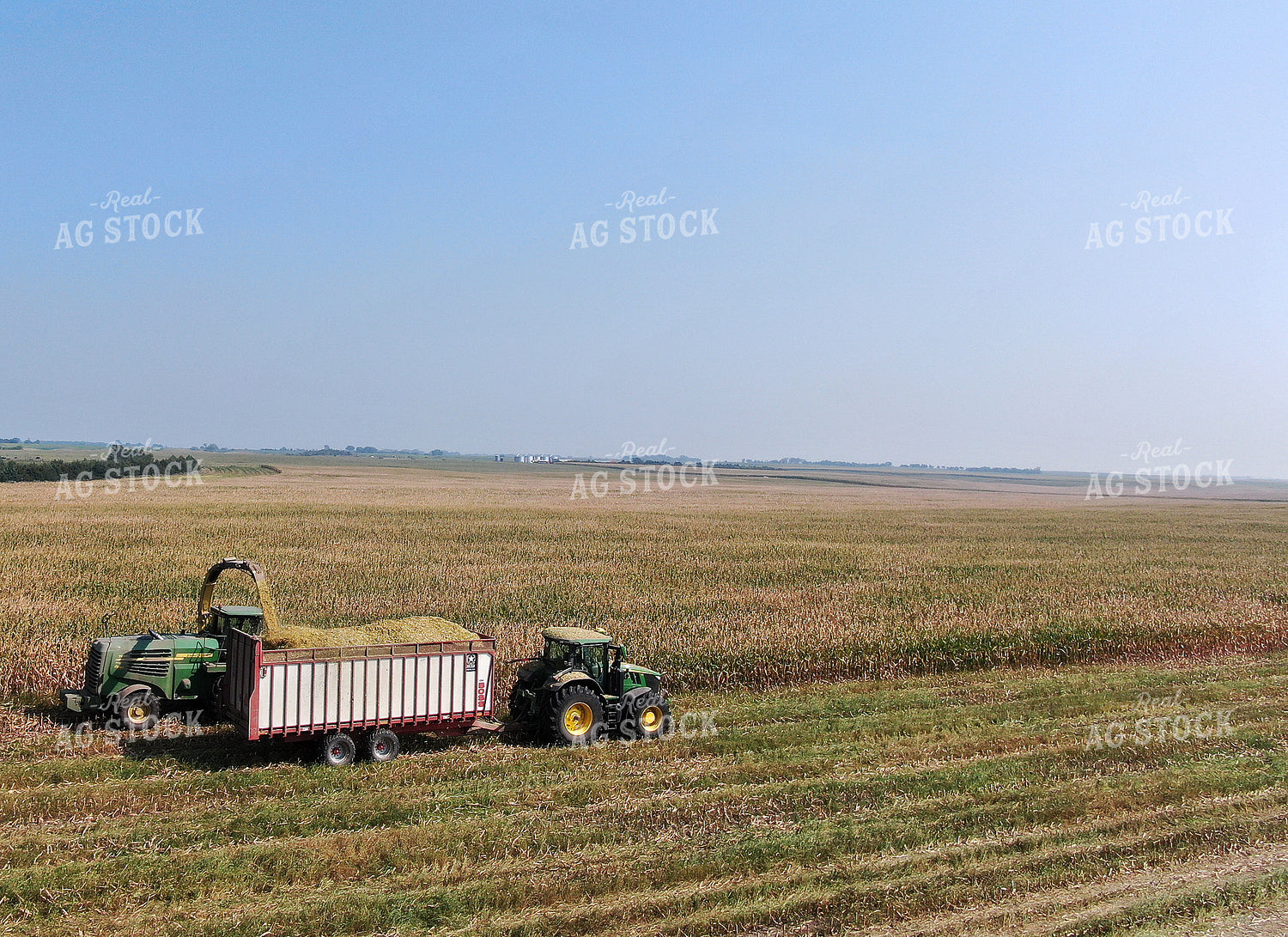 Silage Harvest 141057
