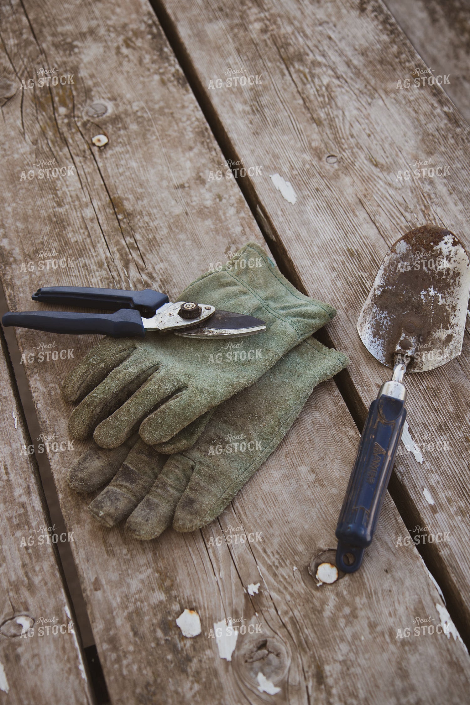 Garden Tools 67933
