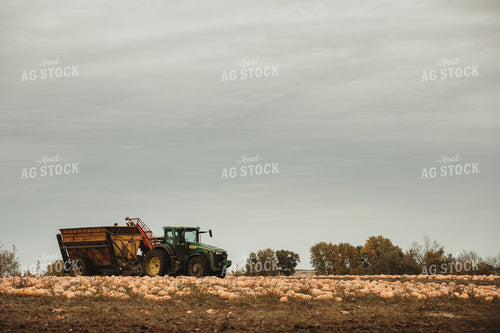 Food Pumpkin Harvest 3554