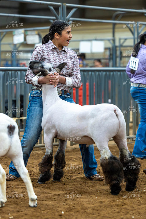 Showing Goats  98051