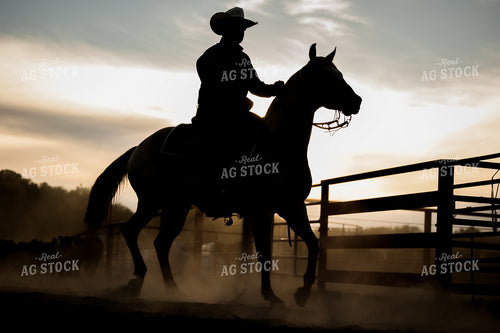 Cowboy on Horseback 219027