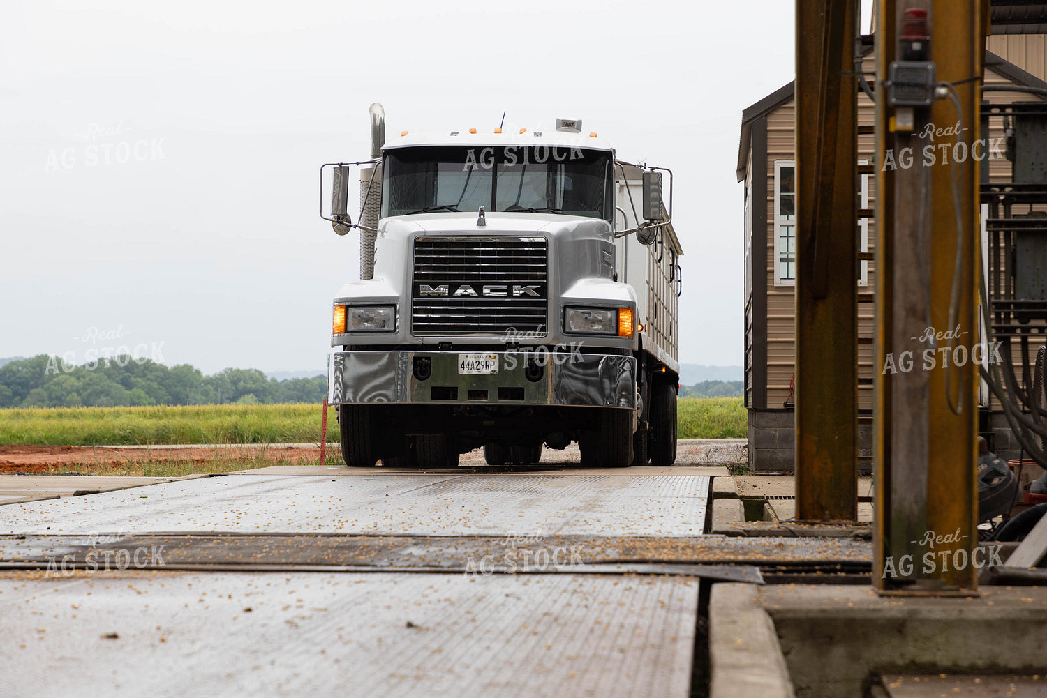 Semi Going Across Scale at Elevator 79646