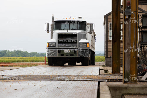Semi Going Across Scale at Elevator 79646