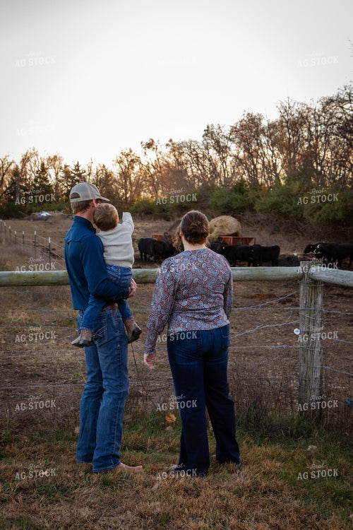 Farm Family Checking Cattle 268124