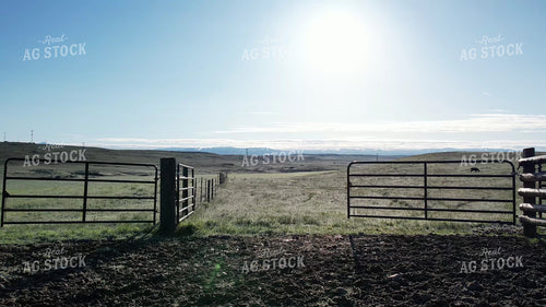 Aerial of Pasture 65703