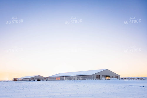Cattle Barns in Winter 152421
