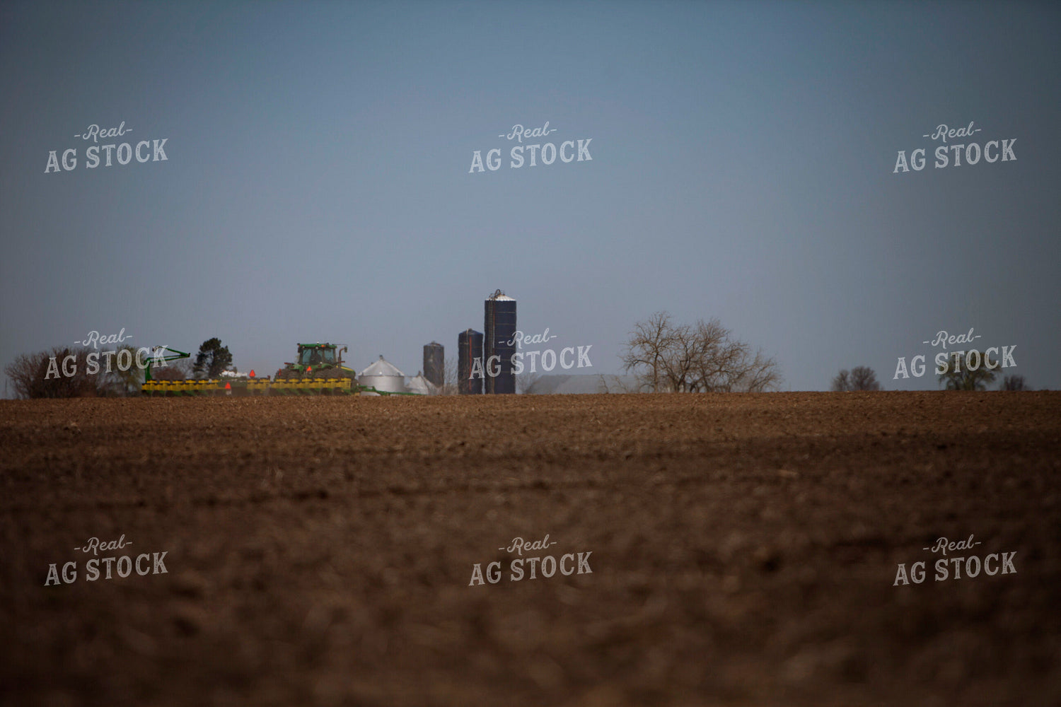 Planting 1982