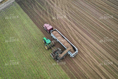 Aerial Sugar Beet Harvest 56495