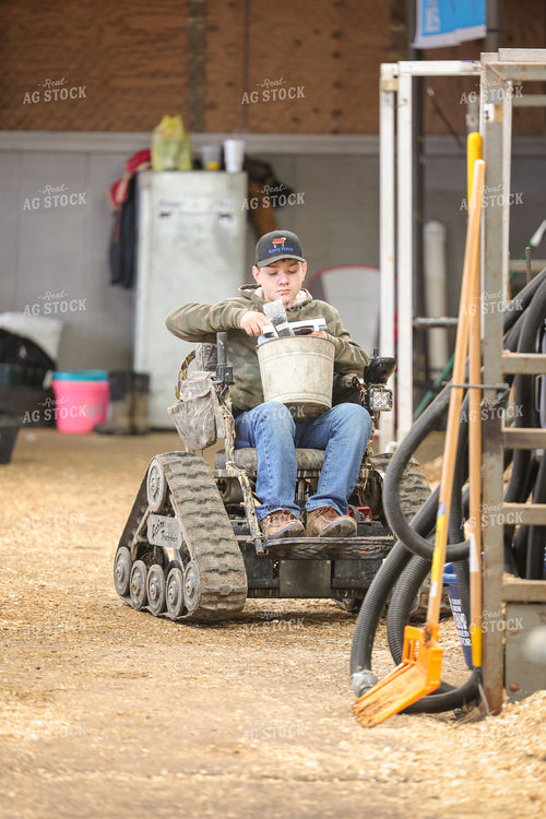 Farm Kid Preparing for Show Day 52351
