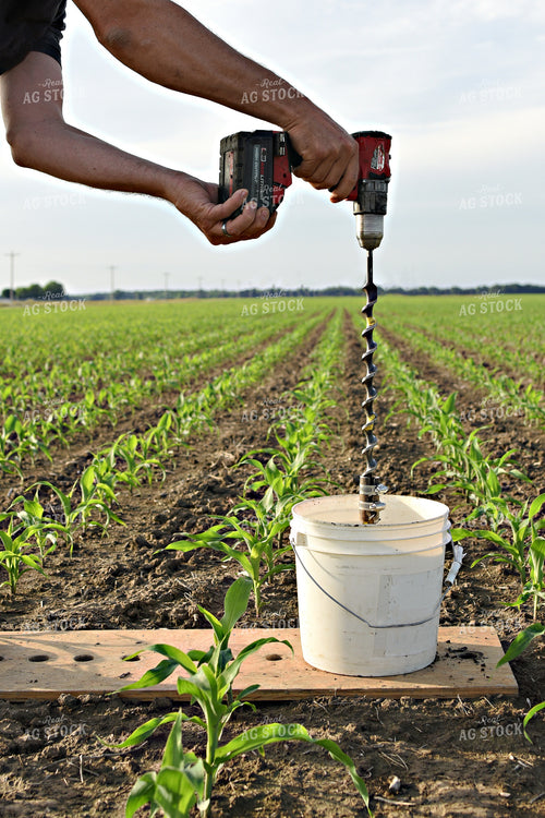 Soil Sampling 100043
