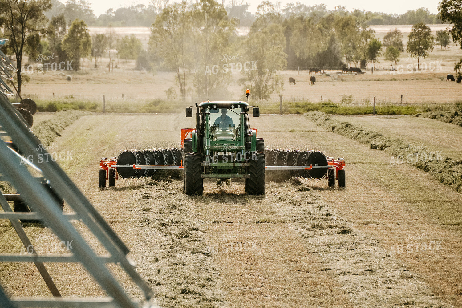 Raking Hay 64093