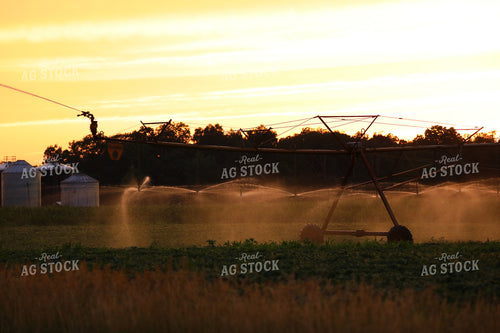 Irrigation at Sunset 160352