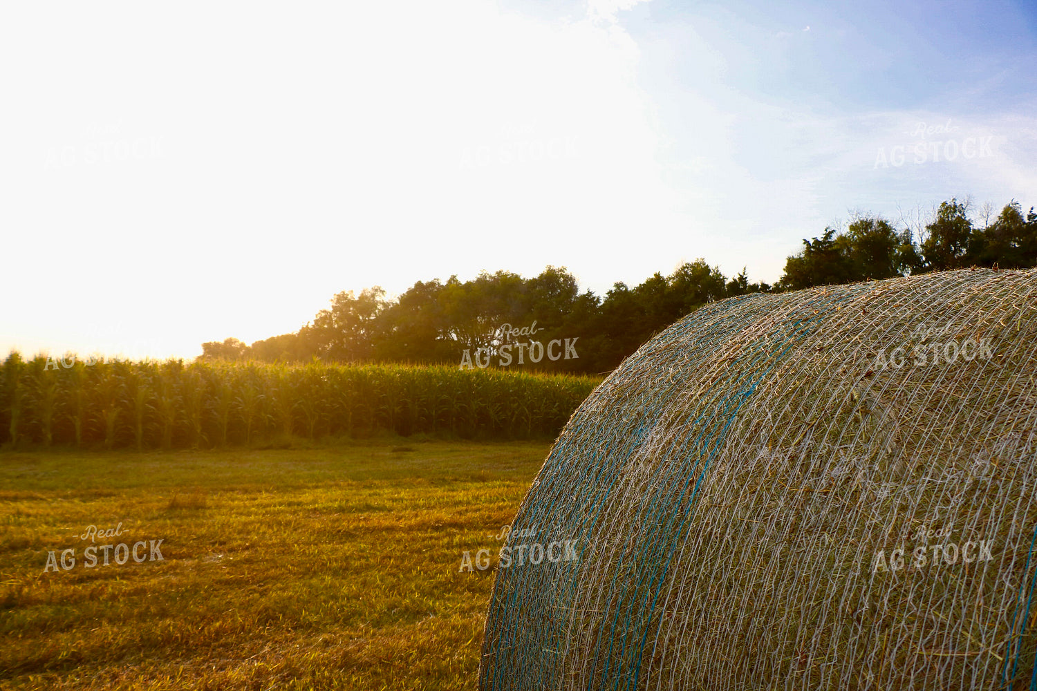 Rural Landscape with Hay Bale 299252