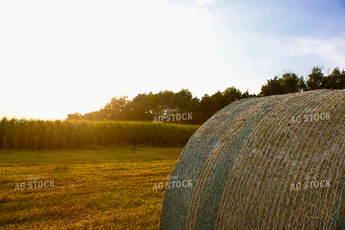 Rural Landscape with Hay Bale 299252