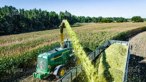 Silage Harvest 56540