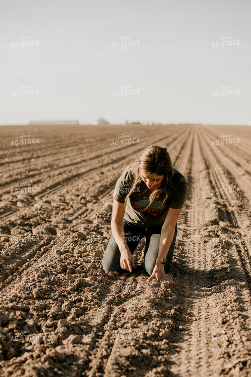 Planting 2787